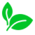 icons8-leaf-50